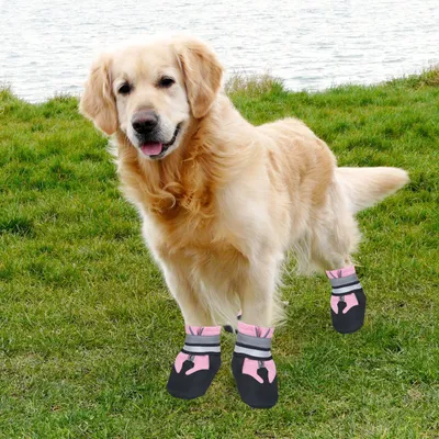 MCBOSON  Chaussures de protection pour chiens