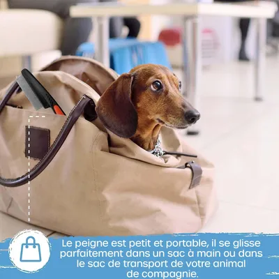 MCBOSON  Peigne Anti Puces pour Chat 15 cm