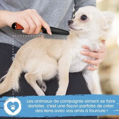 MCBOSON Flohkamm für Katzen, 15 cm