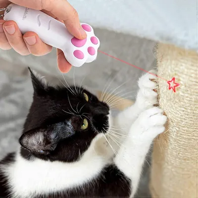 MCBOSON Jouet laser pour chat 7in1