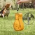 MCBOSON 2 en 1 Gourde Chien, Portable Gourde pour Chien