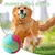 3-teiliges MCBOOSN Gummiball-Set für Hunde 3-teiliges MCBOOSN Gummiball-Set für Hunde