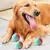 MCBOSON Lot de 3 balles en caoutchouc pour chien