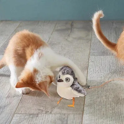 MCBOSON  Jouet en peluche pour chat - Oiseau interactif
