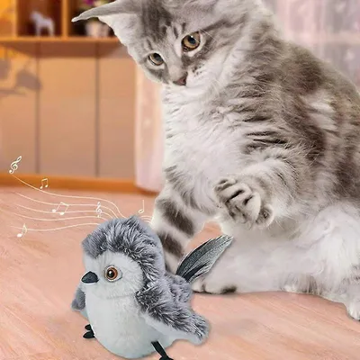 MCBOSON  Jouet en peluche pour chat - Oiseau interactif