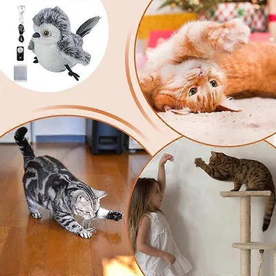 MCBOSON  Jouet en peluche pour chat - Oiseau interactif