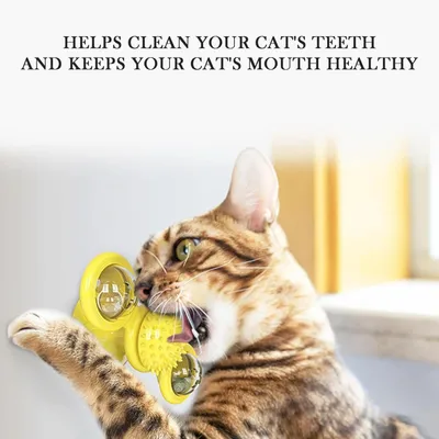 Jouet interactif pour Chat Moulin à Vent avec MCBOSON Jouet interactif pour Chat Moulin à Vent avec MCBOSON