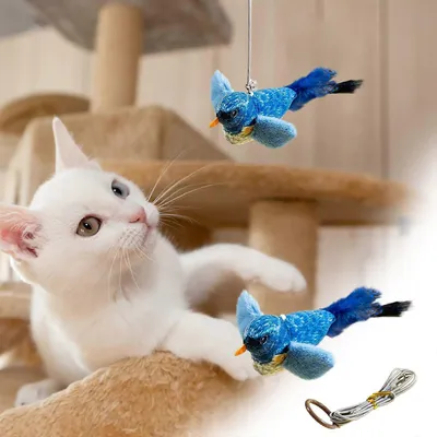 MCBOSON Canne à pêche Teaser accessoirespour chat