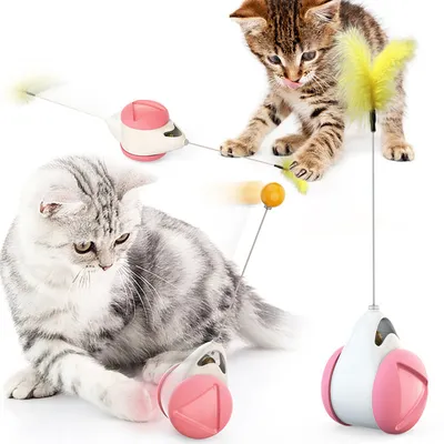 Teaser Chat Interactif Jouets pour Chats MCBOOSN