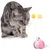 Teaser Chat Interactif Jouets pour Chats MCBOOSN