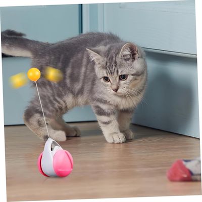 Teaser Chat Interactif Jouets pour Chats MCBOOSN