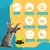 Jouet interactif pour chat MCBOSON Jouet interactif pour chat MCBOSON