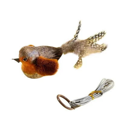 MCBOSON Canne à pêche Teaser accessoirespour chat