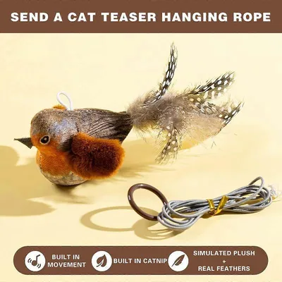 MCBOSON Teaser Angelrute Katzenaccessoire