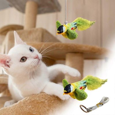 MCBOSON Canne à pêche Teaser accessoirespour chat