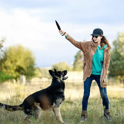 MCBOSON  Pitbull Breaks Stick Professionnel Chien