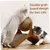 Jouet interactif de grattage pour chat MCBOOSN Jouet interactif de grattage pour chat MCBOOSN