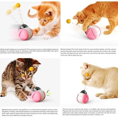 MCBOSON Interaktiver Katzennapf