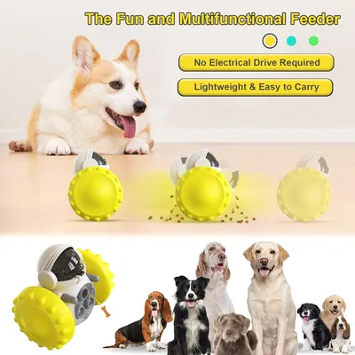 Jouets interactifs pour chien