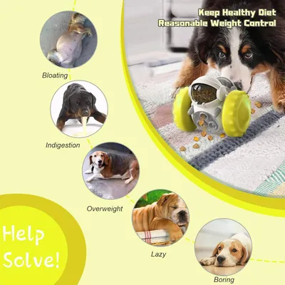 Jouets interactifs pour chien
