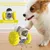 Jouets interactifs pour chien