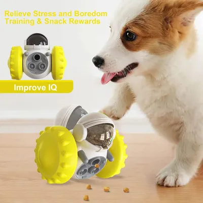 Jouets interactifs pour chien