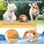 Jouet peluche interactif pour chien