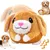 Chien brun