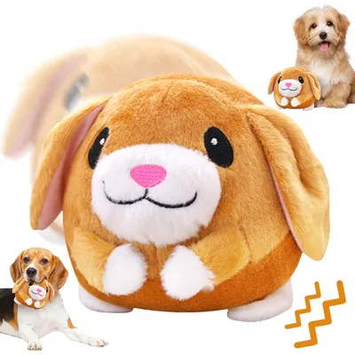 Jouet peluche interactif pour chien