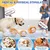Jouet peluche interactif pour chien