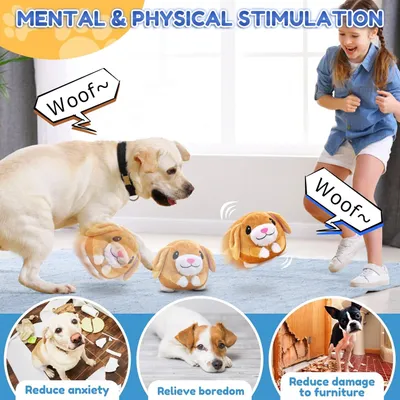 Jouet peluche interactif pour chien