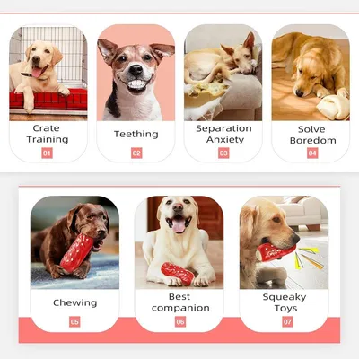 MCBOSON Hundekauspielzeug MCBOSON Hundekauspielzeug