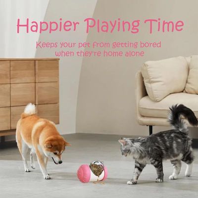 MCBOSON Leckerli-Spender-Spielzeug für Hunde und Katzen