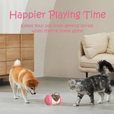 MCBOSON Distributeur de friandises Jouet pour chien et chat