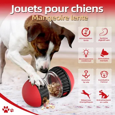 MCBOSON Jouet pour chien - Slow Feeder pour chien