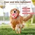 Jouet peluche interactif pour chien