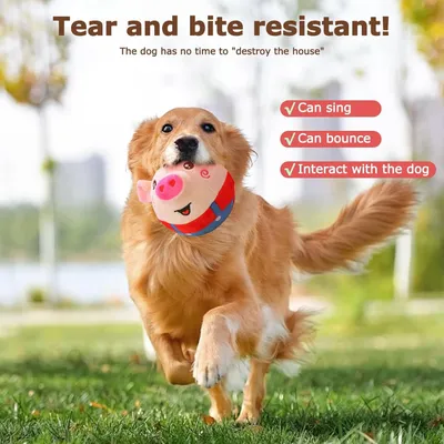 Jouet peluche interactif pour chien
