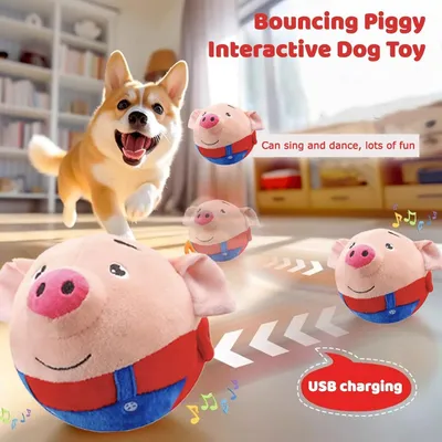 Jouet peluche interactif pour chien