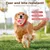 Interaktives Plüschtier für Hunde Interaktives Plüschtier für Hunde