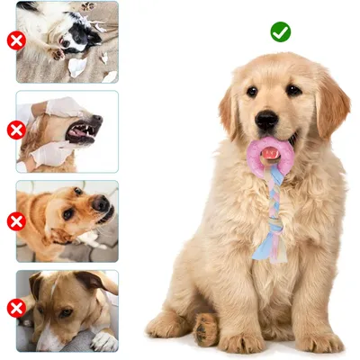 Ensemble de 3 Jouets à Mâcher pour Chiots MCBOSON