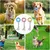 Ensemble de 3 Jouets à Mâcher pour Chiots MCBOSON