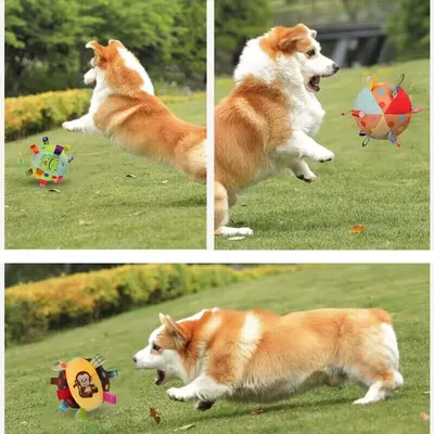 Ballon en peluche avec clochettes Jouet à mâcher amusant