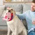Interaktives Plüschtier für Hunde Interaktives Plüschtier für Hunde
