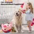 Interaktives Plüschtier für Hunde Interaktives Plüschtier für Hunde