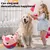 Jouet peluche interactif pour chien