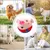 Jouet peluche interactif pour chien