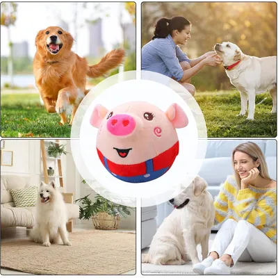 Jouet peluche interactif pour chien