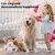 Interaktives Plüschtier für Hunde Interaktives Plüschtier für Hunde