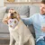 Jouet peluche interactif pour chien