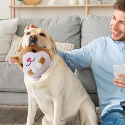 Jouet peluche interactif pour chien